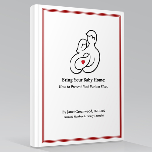 Bring Your Baby Home – book cover