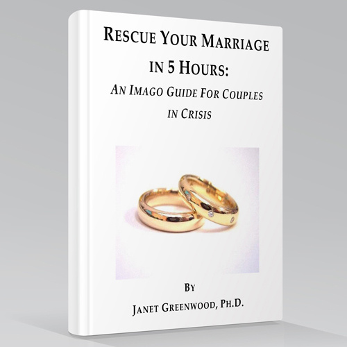Rescue Your Marriage in 5 Hours – book cover
